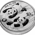 Oncia Cina Panda  2022