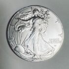 Dollaro America 2025
