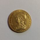 Repubblica Subalpina 20 Franchi